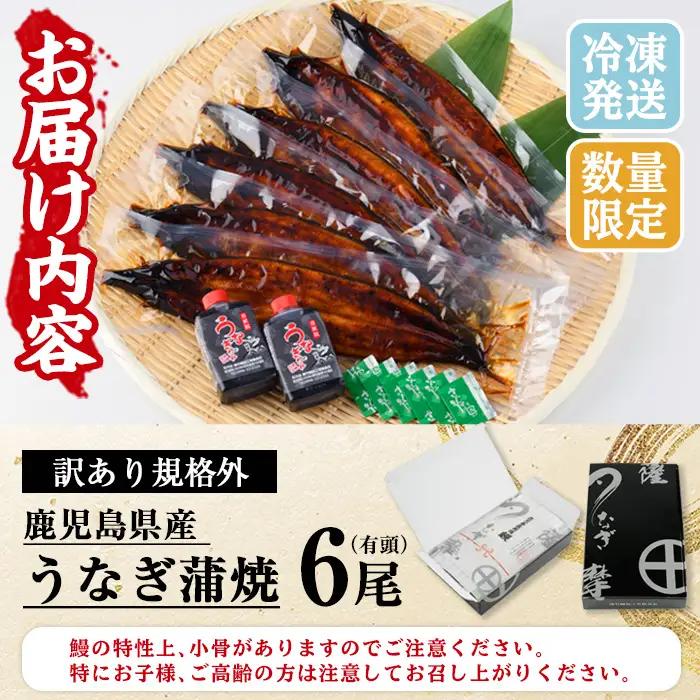 【うなぎ】訳あり 蒲焼  6尾 鹿児島県産 うなぎ【00-025-09-60】