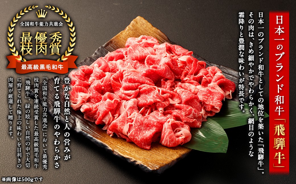 飛騨牛切り落とし1kg（A5・A4等級）