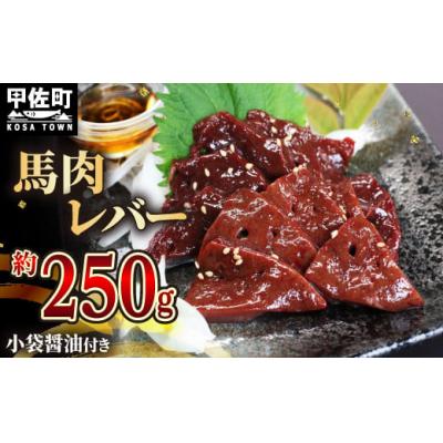 ふるさと納税 甲佐町 ★配送月指定可能★【毎月200セット限定】馬肉 250g【レバー】