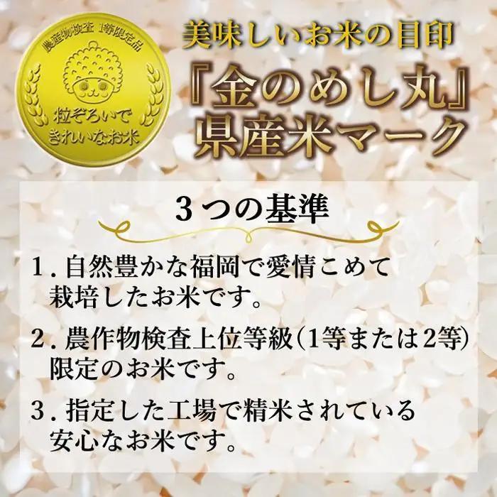 新米 無洗米 令和8年産 元気つくし 5kg 福岡県