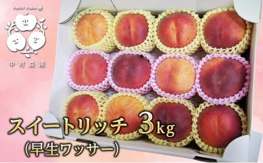 
                  フルーツファーム中村農園　【8月上旬発送 先行予約】スイートリッチ 3kg(中生ワッサー） |  ワッサー スイートリッチ 早生 桃 もも モモ 希少品種 ネクタリン プラム 人気 おすすめ 果物 フルーツ 贈答用 ギフト 送料無料 長野県 長野市 信州 信濃 ふるさと納税
                