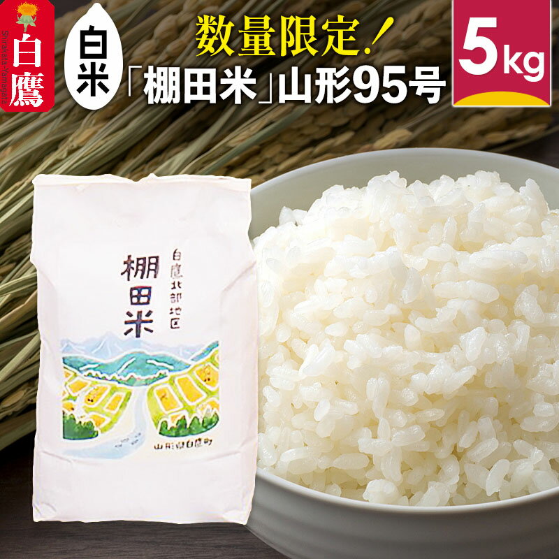【ふるさと納税】【白米】山形県産 棚田米 白鷹ほまれ 5kg 山形95号 令和7年産 米 お米 精米 コメ おこめ ごはん ご飯 白米 5キロ 【2025年10月下旬順次出荷予定】