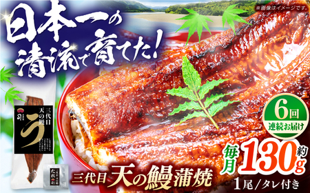 【6回定期便】三代目天の鰻蒲焼 1尾 / 鰻 鰻蒲焼 鰻蒲焼き 鰻 鰻蒲焼 鰻蒲焼き[ATAD057]