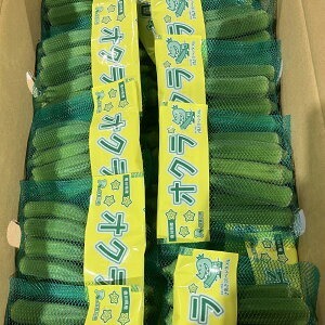 【ふるさと納税】オクラ　約1.4kg