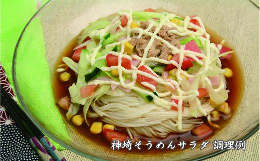 佐賀県特産品 神埼そうめん 17入 つゆ付 【そうめん 神埼そうめん 乾麺 特産品 御中元 夏 自家用】(H014109)