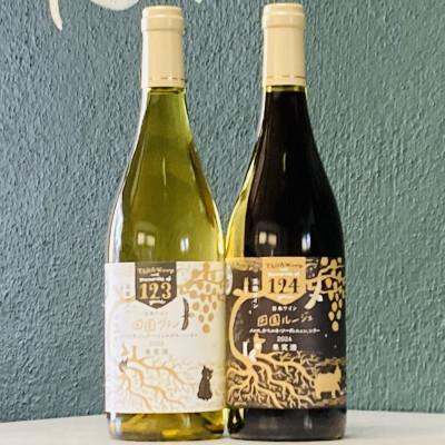 ふるさと納税 上富良野町 【野生酵母】混醸仕込みの赤ワイン&amp;辛口白ワイン 多田ワイナリー