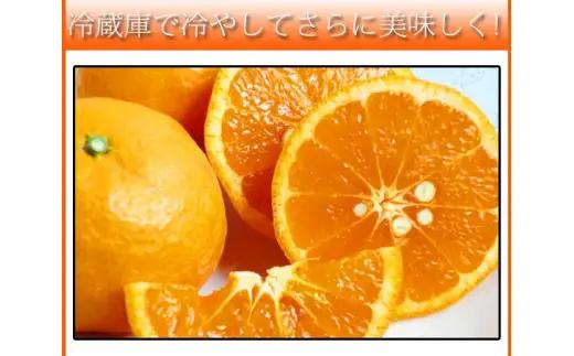 初夏のみかん　なつみ3kg　※2026年4月中旬頃～2026年4月下旬頃に順次発送（お届け日指定不可）【uot753A】