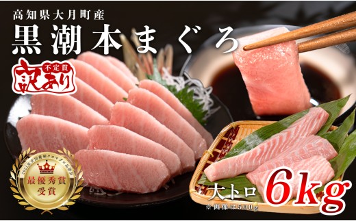 訳あり 不定貫 国産 養殖本マグロ 大トロ 6kg 黒潮本まぐろ 全国養殖クロマグロ品評会 最優秀賞受賞 柵 刺身用 本マグロ クロマグロ 本鮪 まぐろ 鮪 お刺身 さしみ トロ 海鮮丼 漬け丼 手巻き寿司 鉄火丼 まぐろ丼 小分け 個包装 真空パック 冷凍 不揃い 家庭用 海鮮 年末年始 高知県 大月町 30万円