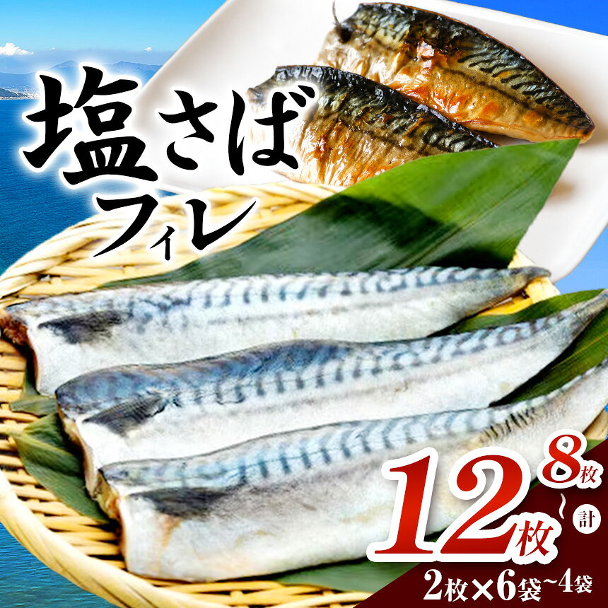 【ふるさと納税】塩さばフィレ 8枚〜12枚(冷凍) ｜塩さば さば フィレ 魚介 冷凍 焼くだけ 時短 朝食 おかず お弁当 簡単 愛知県 武豊町│株式会社山太