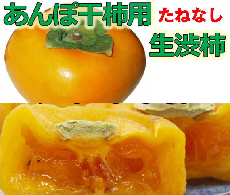 【ふるさと納税】 【県認定エコファーマー】あんぽ柿用生渋柿（平たねなし柿） 約14．5〜15kg（約50〜90玉）【2025年10月下旬頃から随時発送(日付指定不可)】-AP
