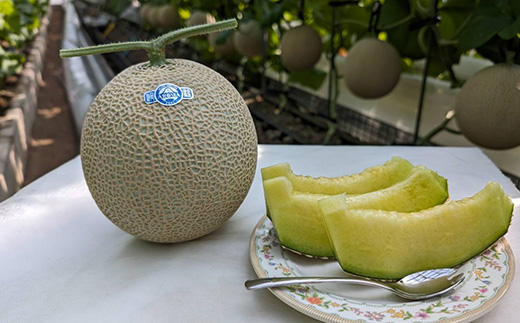 静岡暗室マスクメロン アローマ印　　　　　白級約1.45kg以上　2玉【配送不可地域：離島・北海道・沖縄県】