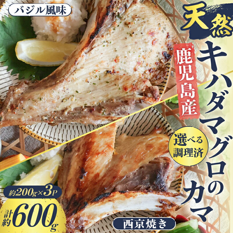 【ふるさと納税】＜選べる＞ 鹿児島産 天然 キハダマグロ の カマ 約 200g × 3P 調理済 バジル風味 or 西京焼き 骨なし 骨抜き マグロ まぐろ 鮪 かま 脂 バジル 西京味噌 ボリューミー おかず おつまみ 冷凍 惣菜 津曲商店 鹿児島 おすすめ ランキング プレゼント ギフト