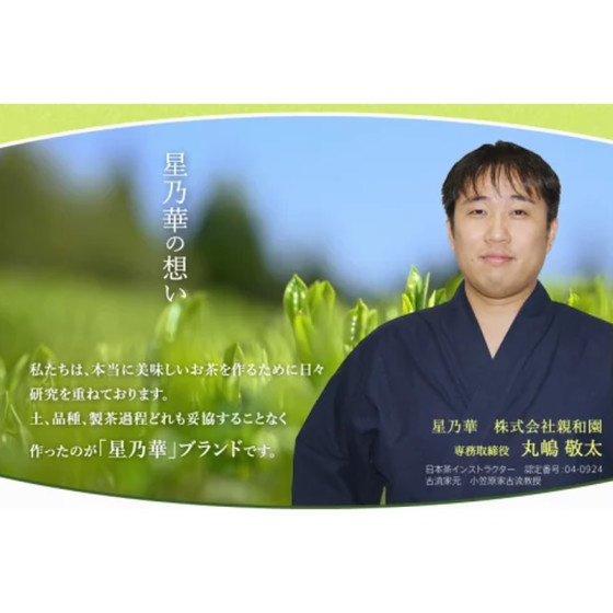 八女星野茶 星乃秋桜 煎茶100g×1 かぶせ100g×1_イメージ2