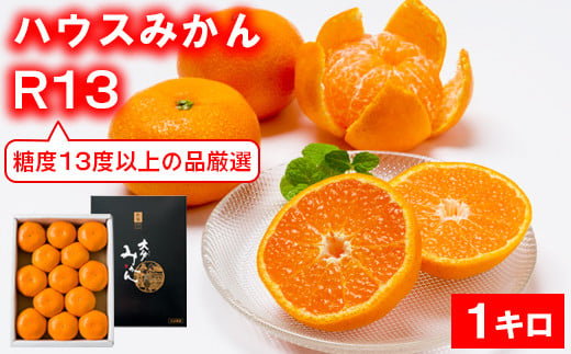 【糖度13度以上！】[プレミアムハウスみかんR13] 1kg 化粧箱入 みかん 温州ミカン 1kg 甘い 秀品 柑橘類 糖度 6月 7月 ハウスみかん フルーツ 先行予約 九州 大分 杵築 ＜132-013＞
