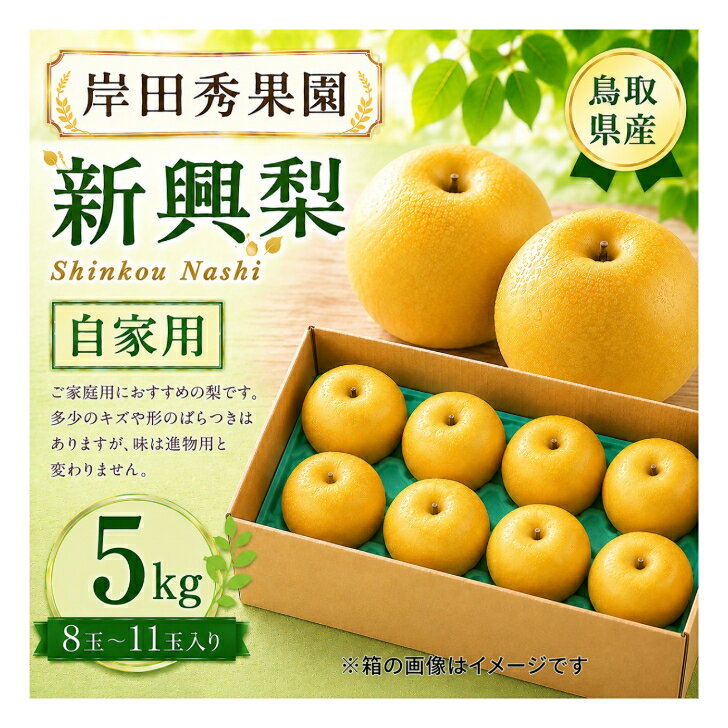 【ふるさと納税】 【予約受付中】 岸田秀果園 新興 梨 自家用 5kg やまのおかげ屋 鳥取県 米子市
