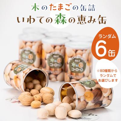 ふるさと納税 岩泉町 「いわての森の恵み缶」ランダム6缶set　“木のたまごコロロ”
