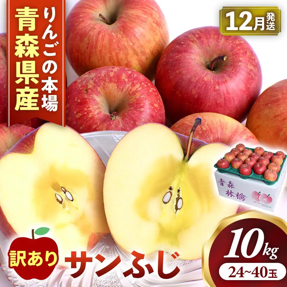 【訳あり】 大容量 青森県産りんご 12月～ サンふじ 10kg りんご
