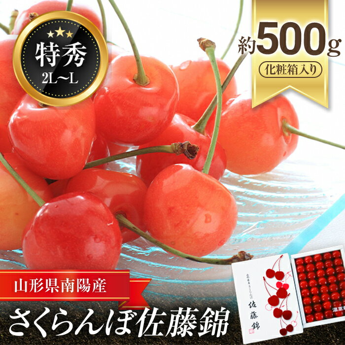 【ふるさと納税】【令和8年産先行予約】 JA ハウスさくらんぼ 「佐藤錦」 約500g (特秀 2L～L) 化粧箱入り 《令和8年6月上旬～中旬発送》 『JA山形おきたま』 サクランボ 果物 フルーツ 山形県 南陽市 [860]