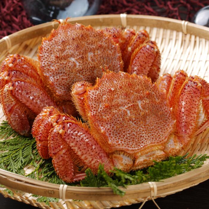 【ふるさと納税】[北海道根室産]浜ゆで毛がに 選べる 300g〜400g×2尾 600〜700g×2尾 毛蟹 毛ガニ ケガニ 北海道 根室 かに カニ 蟹
