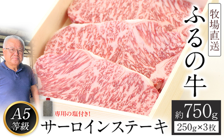 ふるの牛（黒毛和牛）特選サーロインステーキ 750g(250g×3枚) ゲランド塩付き A5 有限会社ふるの《30日以内に出荷予定(土日祝除く)》