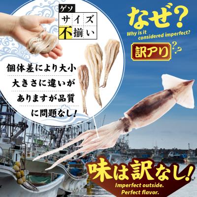 ふるさと納税 興部町 〔ワケあり〕北海道産　イカゲソ3.0kg　隔月6ヶ月定期便【20002】 |  | 01