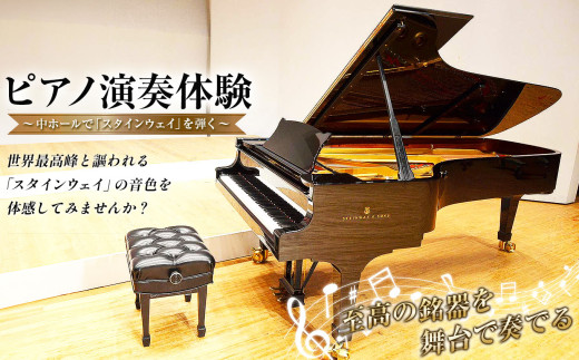 3時間ピアノ演奏体験　～中ホールで「スタインウェイ」を弾く～ | イベント チケット 体験チケット スタインウェイ Ｄ-274 グランドピアノ ピアノ  ぴあの 演奏 君津市民文化ホール 千葉県 君津