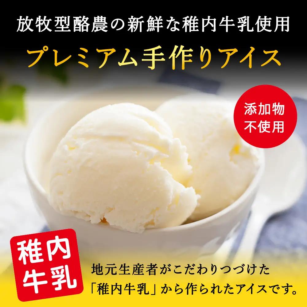 【業務用】稚内牛乳アイスクリーム2000ml宗谷の塩×コーヒー牛乳2個セット【配送不可地域：離島・沖縄県】