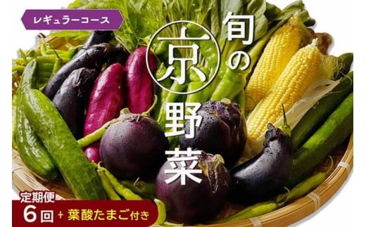 【6月発送】野菜定期便 6回 葉酸たまご付 4~6種類 旬の京野菜 レギュラーコース 詰め合わせ 季節 旬 野菜 やさい 野菜便 国産 国産野菜 新鮮 おまかせ 産地直送 春野菜 夏野菜 秋野菜 冬野菜 葉物 果菜 根菜 カット野菜 京都府産 亀岡市産 京丹波町産 季節の野菜 九条ネギ なす 唐辛子 サラダ トマト 京水菜 壬生菜 聖護院大根 聖護院かぶら 里いも つるむらさき 送料無料 京都府