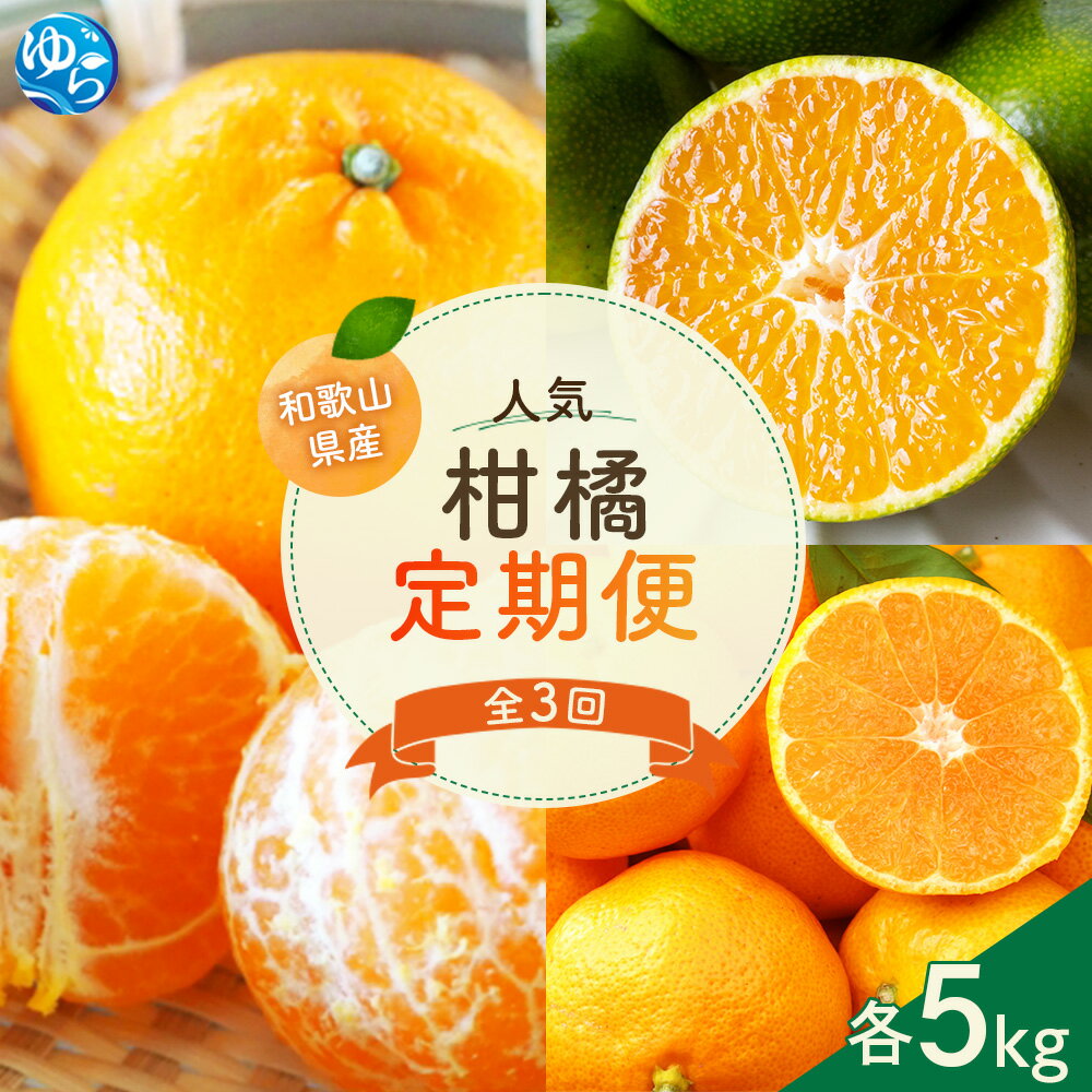 【ふるさと納税】＼レビューキャンペーン中／【先行予約】エイワ商店自慢の人気柑橘定期便【全3回】※北海道・沖縄・離島配送不可 / 温州みかん 早生みかん ポンカン みかん 柑橘 ぽんかん 由良町 果物 くだもの フルーツ 期間限定 産地直送 和歌山