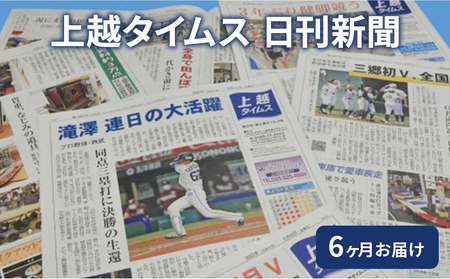 【定期便6回】上越タイムス 新聞 地域新聞 日刊紙 新聞 上越