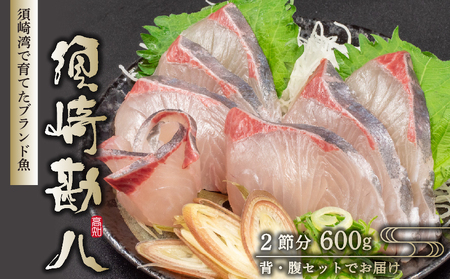 須崎勘八刺身600g ブランド勘八 勘八 ｶﾝﾊﾟﾁ ｶﾝﾊﾟﾁ ｶﾝﾊﾟﾁ ｶﾝﾊﾟﾁ