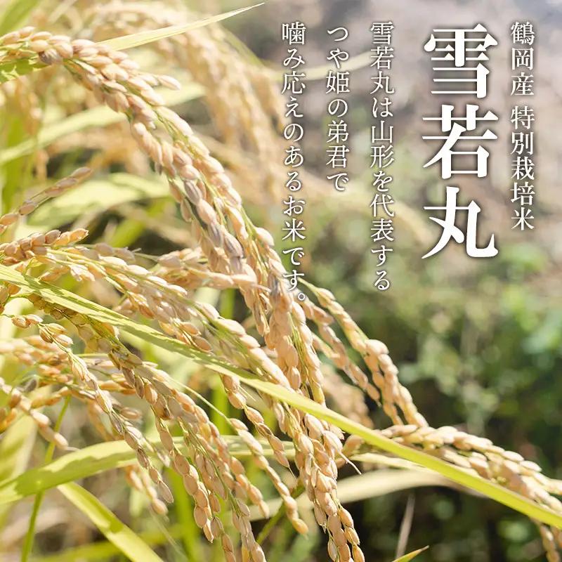 特別栽培米 雪若丸 玄米 10kg(5kg×2袋) 令和8年産 山形県鶴岡市産　K-874 黒川まるいし農場