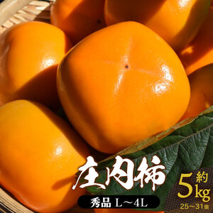【令和8年産先行予約】 庄内柿 (L～4Lサイズ) 秀品 約5kg (25～31個) 山形県鶴岡市産　株式会社 元青果