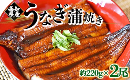 フジ物産 国産養殖うなぎ蒲焼き 約220g×2尾(高知県産鰻) fb-0012