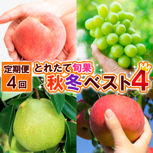【定期便4回】とれたて旬果 秋冬ベスト4 FY25-019
