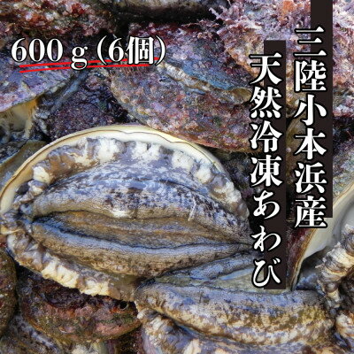 【ふるさと納税】三陸小本浜産冷凍天然あわび　600g(6個入り)【配送不可地域：離島】【1717034】