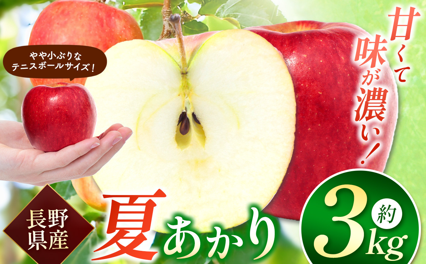 
            【先行予約】夏あかり3kg 夏りんごの革命児。甘くて硬い味の濃いりんご | りんご リンゴ 林檎 果物 フルーツ くだもの 信州産 なつあかり 長野県 松本市
          