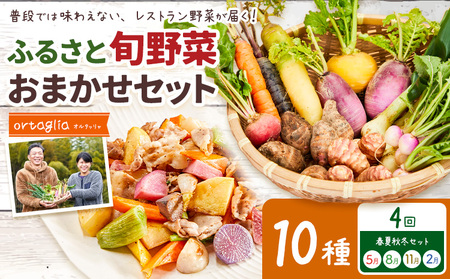 季節の旬野菜 おまかせセット 6種 4回 季節定期便 （農薬・化学肥料不使用）オルタッリャ 《5月・8月・11月・2月に発送予定》【配送不可地域あり】 