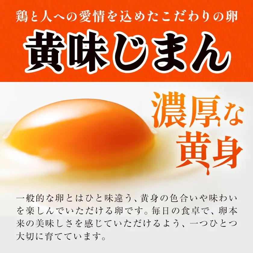 【3か月定期便】君嶋養鶏園のたまご Lサイズ 60個（55個＋割れ補償5個）×3ヶ月 計180個 | 定期便 3ヶ月 3か月 3ヵ月 卵 玉子 たまご 赤卵 赤たまご 生卵 国産 濃厚 鶏卵 コク 旨