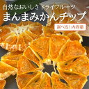 【ふるさと納税】ドライフルーツ みかんチップ 和歌山県産 果物使用 自社製造 【みかんの会】 | 和歌山 おやつ ドライフルーツ みかん 有田みかん チップ 食べきり 取り寄せ 人気