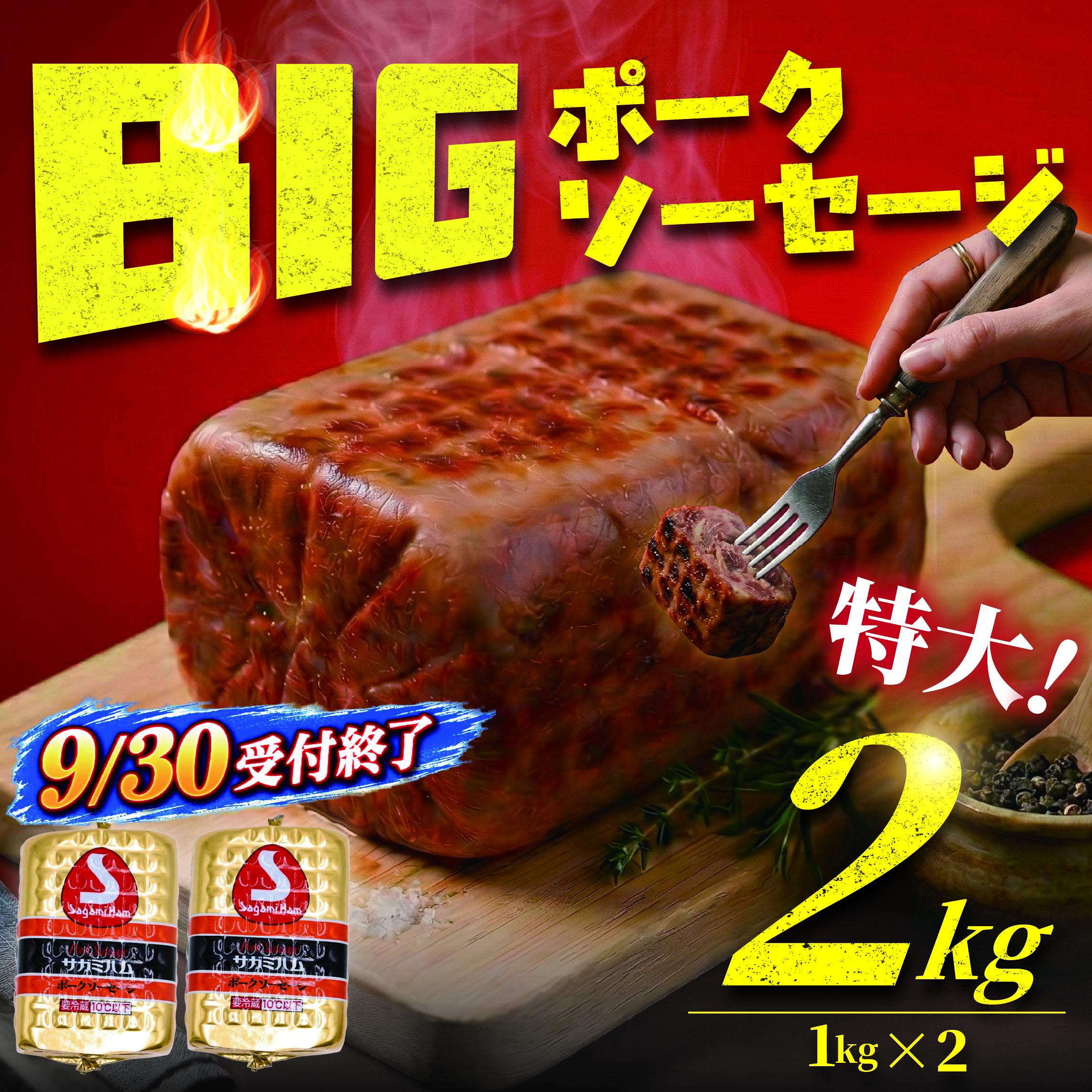 【ふるさと納税】 9月30日受付終了 ソーセージ 2kg 1kg × 2 ポークソーセージ ウインナー ウィンナー そーせーじ うぃんなー 食品 おかず スライス バーベキュー ソーセージステーキ サラダ 大容量 サガミハム エア・ウォーターアグリ＆フーズ株式会社 湘南 神奈川 藤沢