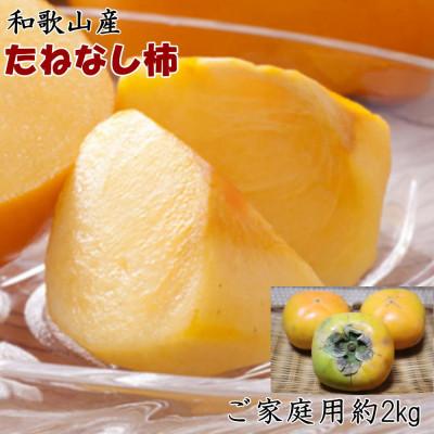 ふるさと納税 紀の川市 【2026年度発送分】【秋の味覚】和歌山産のたねなし柿約2kg(ご家庭用)