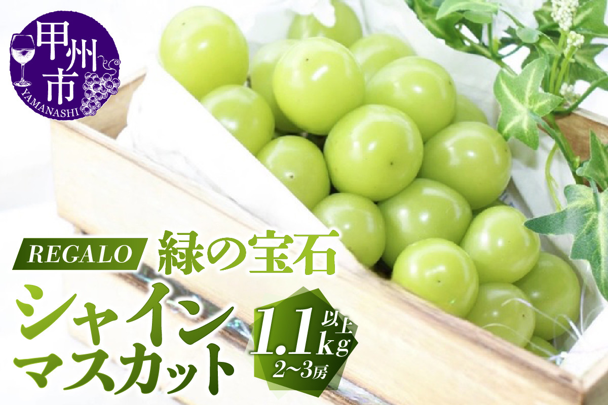 
            【選べる発送年度】頬張る幸福感 ～緑の宝石・シャインマスカット～ 1.1kg以上（2～3房）【2025年発送】【2026年発送】（RG）B-846 【シャインマスカット 葡萄 ぶどう ブドウ 令和7年発送 令和8年発送 期間限定 山梨県産 甲州市 フルーツ 果物】
          