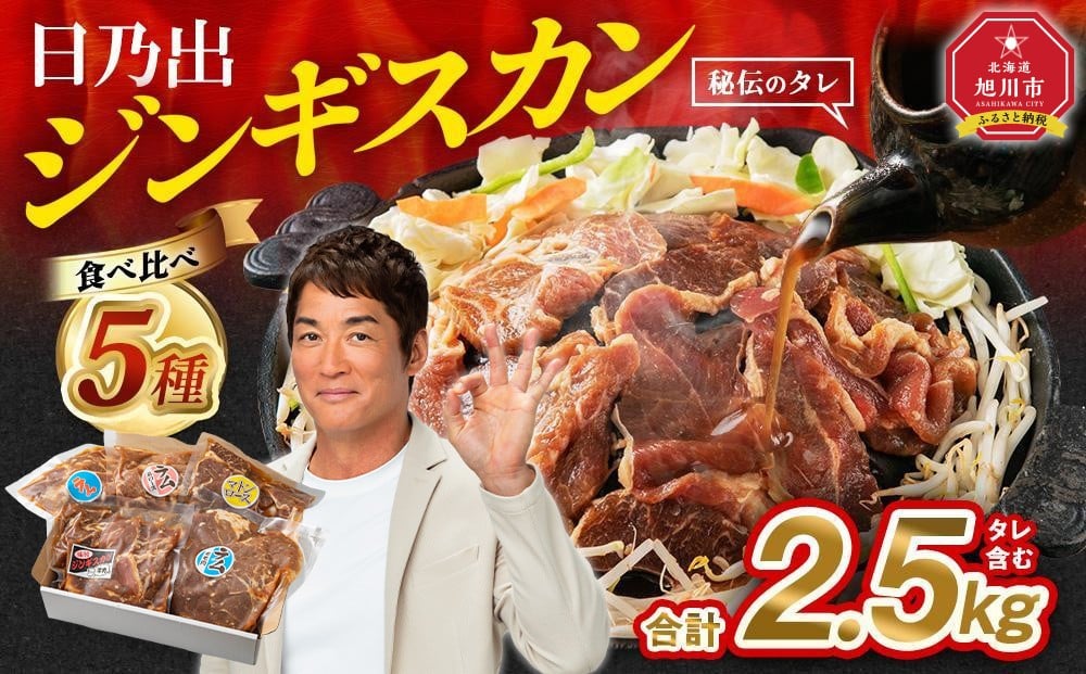【配送月選択可能】日乃出ジンギスカン食べ比べ5種【2.5kg】セット _04440