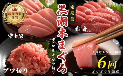 
            【定期便6回】日本一!黒潮本まぐろ 中トロ・赤身・ブツ切り 3種セット
          
