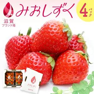 いちご みおしずく ２箱４パック入り 株式会社東近江あぐりステーション 滋賀県 東近江市 A-B26 いちご イチゴ 苺 みおしずく 滋賀県 東近江市 産地直送 章姫 かおり野 フルーツ 果物 スイーツ 大容量 まとめ買い ２箱 ４パック 香り 芳醇 お礼の品 寄付