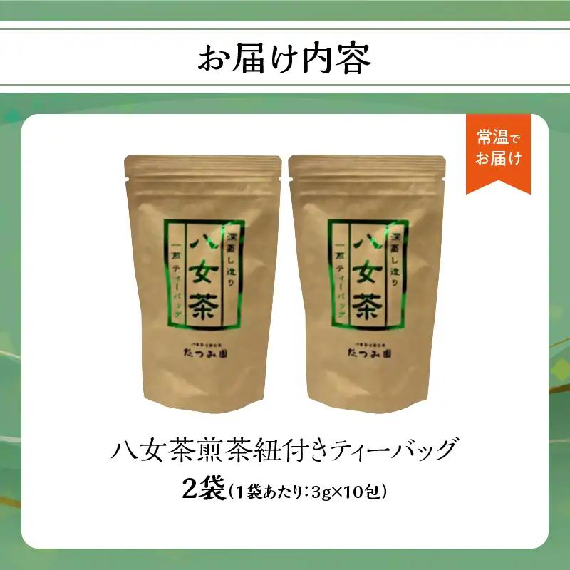 【たつみ園】八女茶 煎茶紐付きティーバッグ 3g×13包入 2個セット【メール便】 お茶 手軽 ティーバッグ 美味しい 緑茶 煎茶 水出し お取り寄せ ギフト 福岡県 八女市 ポスト投函 簡易包装 訳