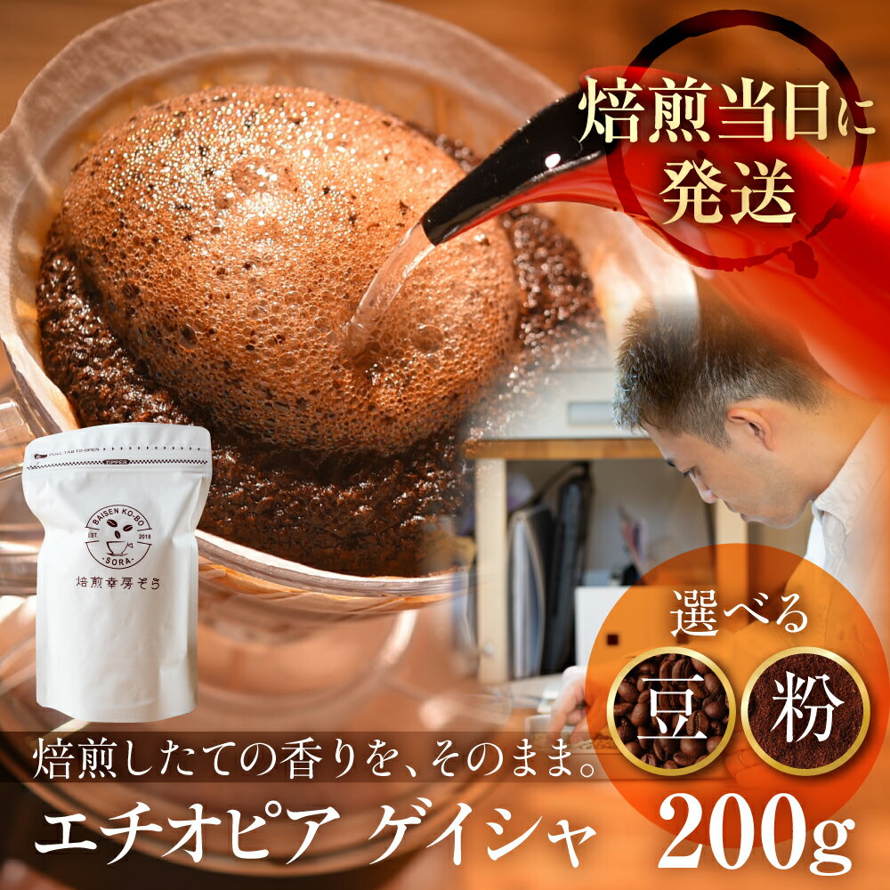 【ふるさと納税】 ＼焙煎当日発送／ 超希少種 コーヒー豆『エチオピア ゲイシャ』ゲシャビレッジ 農園 チャカ ナチュラル 200g 定期便 3ヵ月12ヶ月 挽きたて 豆 粉 珈琲 自家焙煎 浅煎り 高級コーヒー 希少コーヒー プレゼント ギフト 焙煎幸房”そら” 岐阜県 大垣市