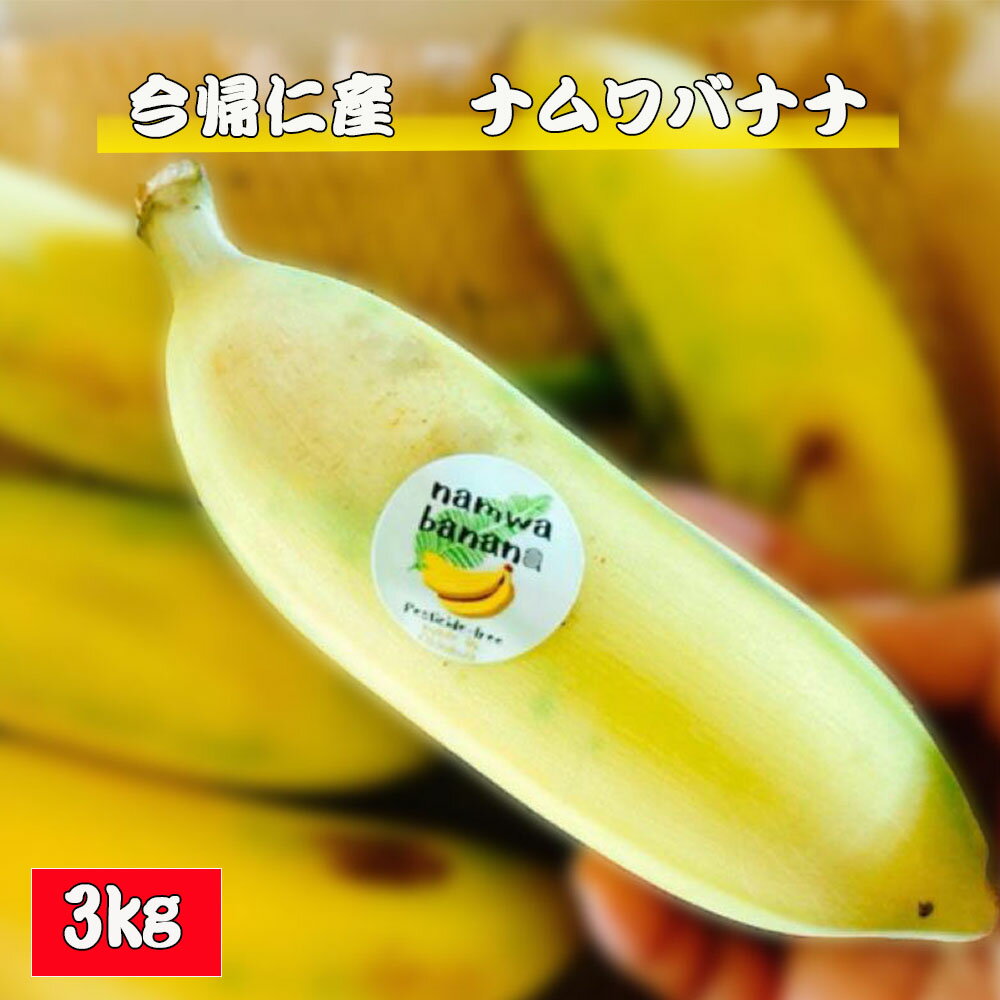 【ふるさと納税】今帰仁村産ナムワバナナ（農薬不使用）3kg