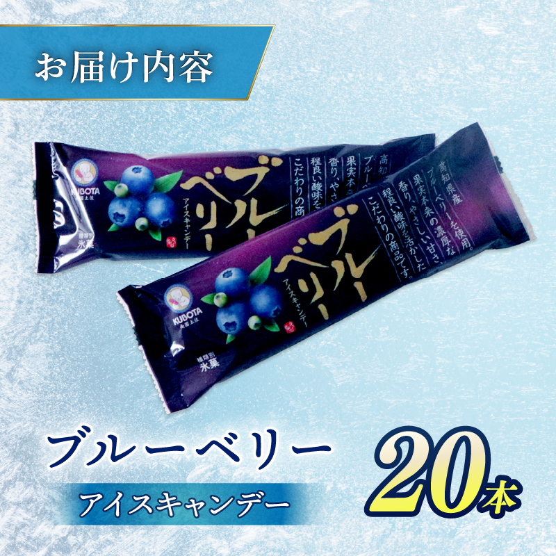 ブルーベリーアイスキャンデー 20本